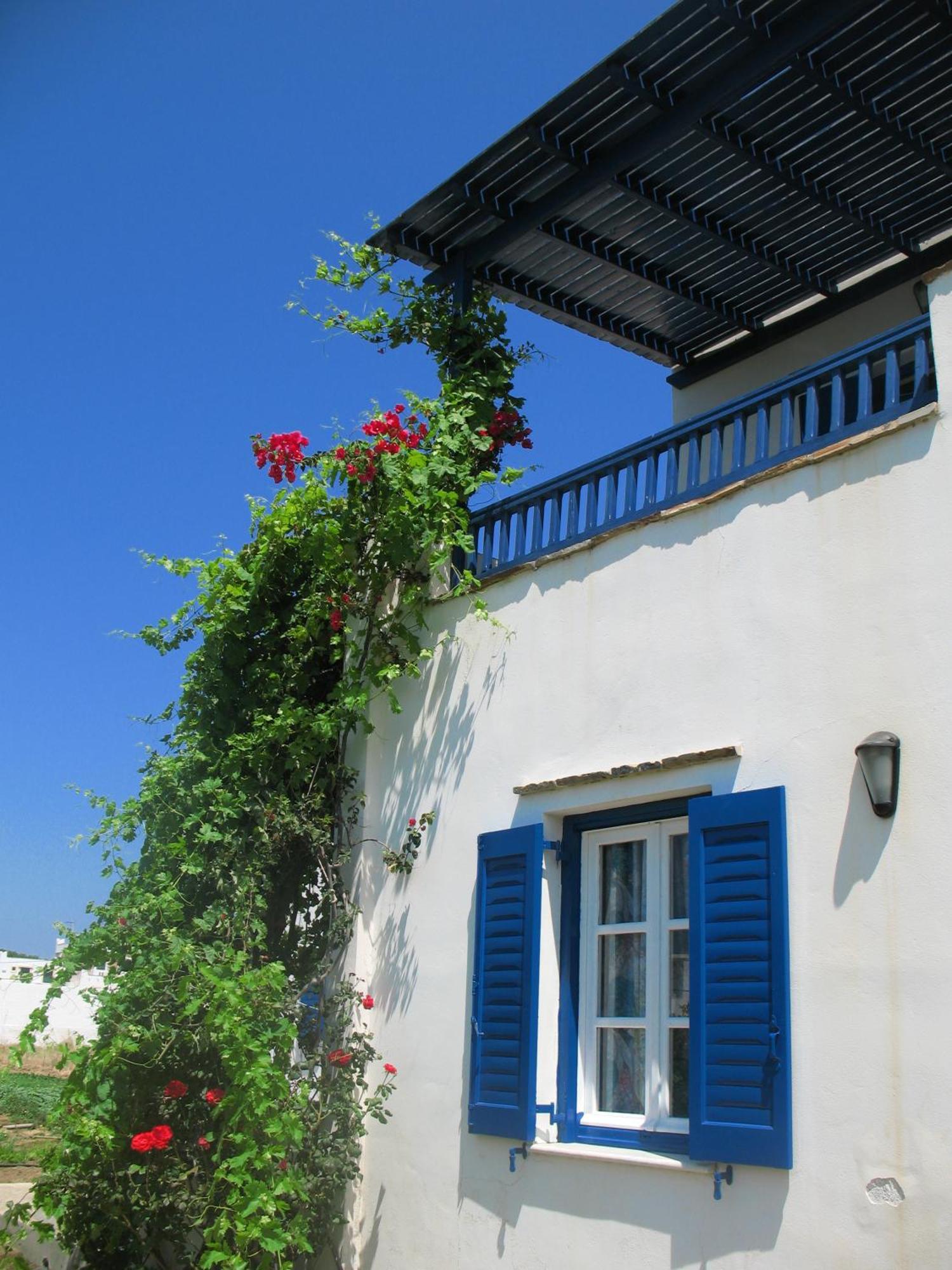 Mavromatis Studios Naxos City Exteriér fotografie