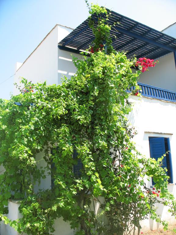 Mavromatis Studios Naxos City Exteriér fotografie