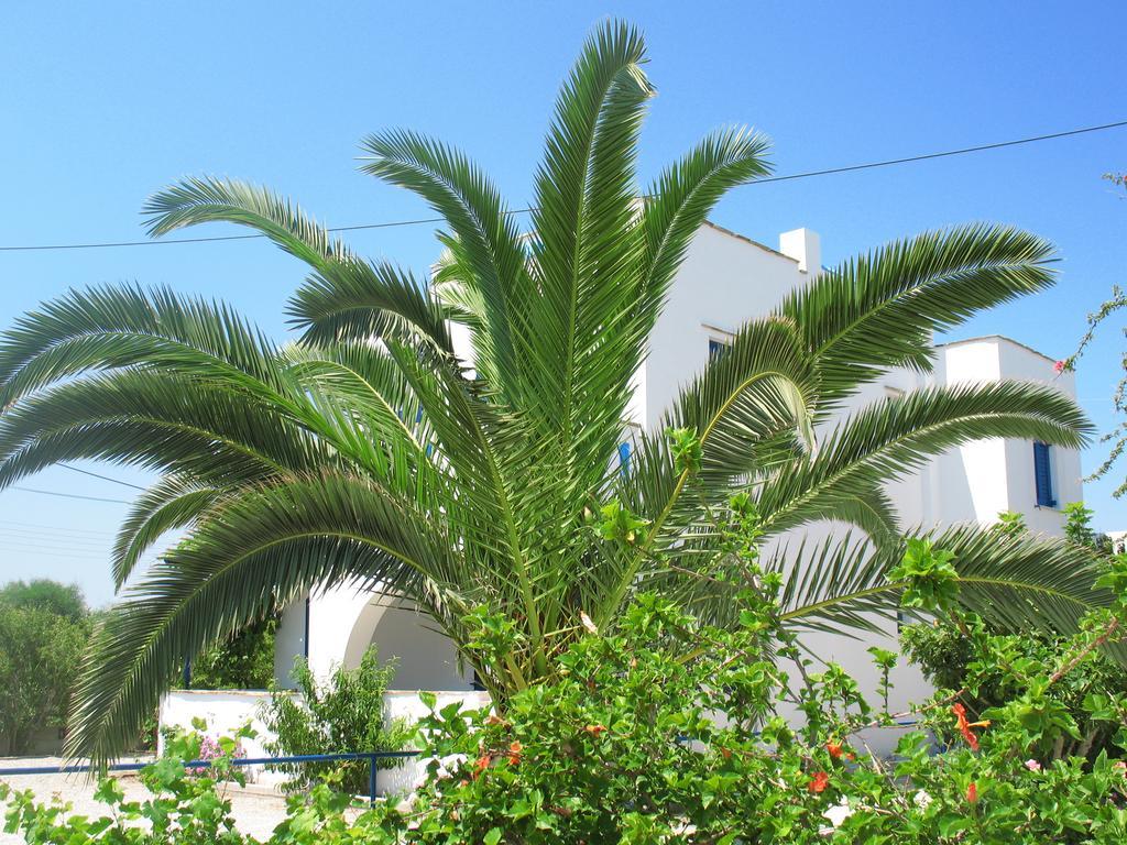 Mavromatis Studios Naxos City Exteriér fotografie